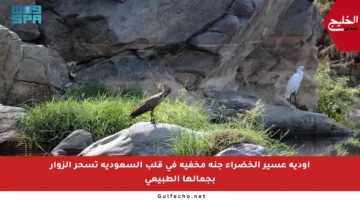 أودية عسير الخضراء جنة مخفية في قلب السعودية تسحر الزوار بجمالها الطبيعي